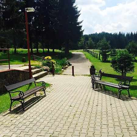 Erika- Spiezovec *